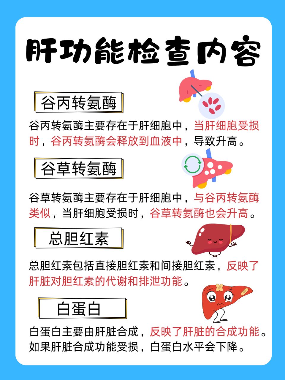 检查肝脏需检查哪些项目