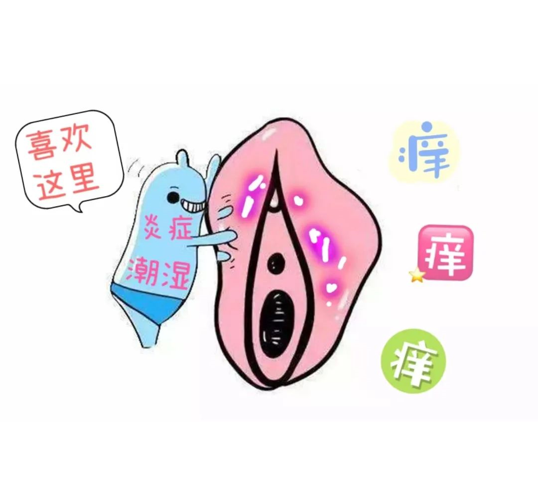 外阴白斑可以治好吗?