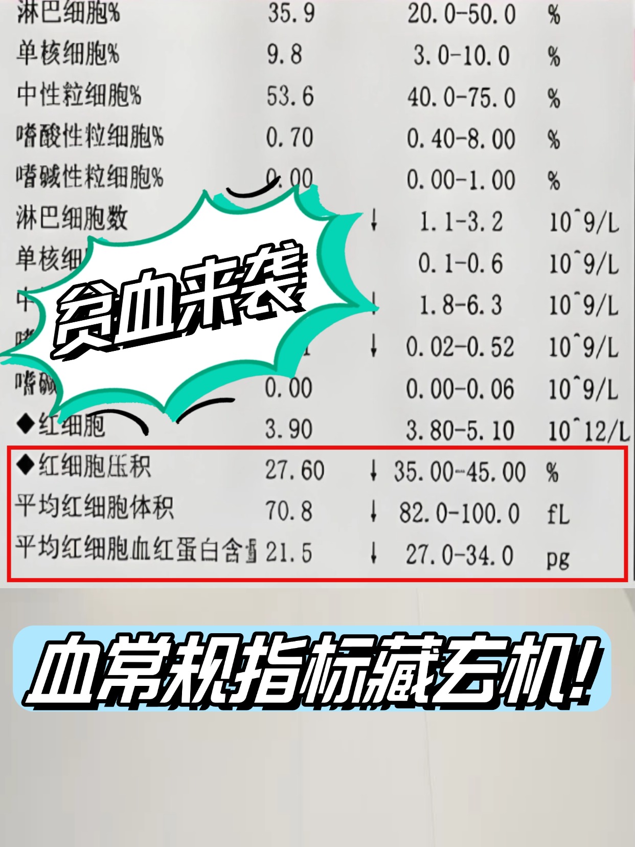 贫血的指标分类