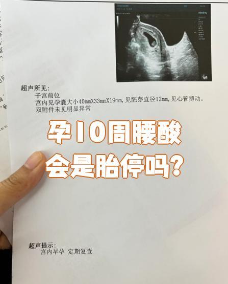 腰酸是胎停的前兆吗