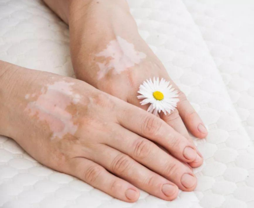 2025年11月26日 第10页