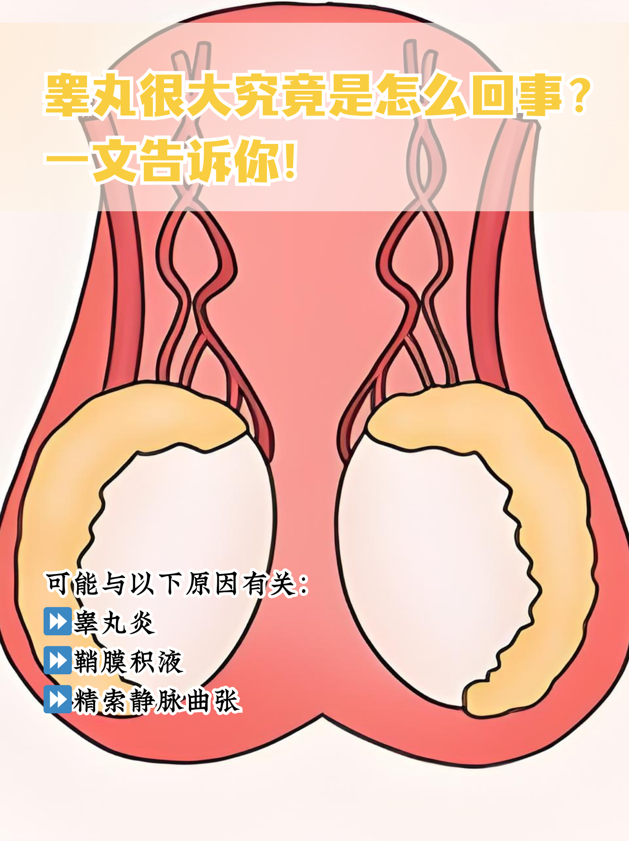 两个睾丸不一样大