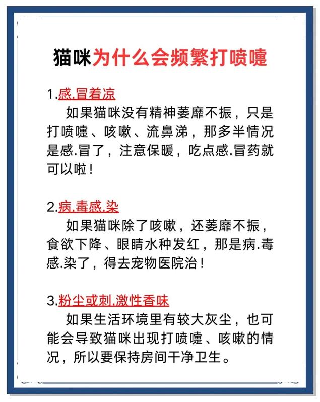 每天连续打喷嚏怎么办