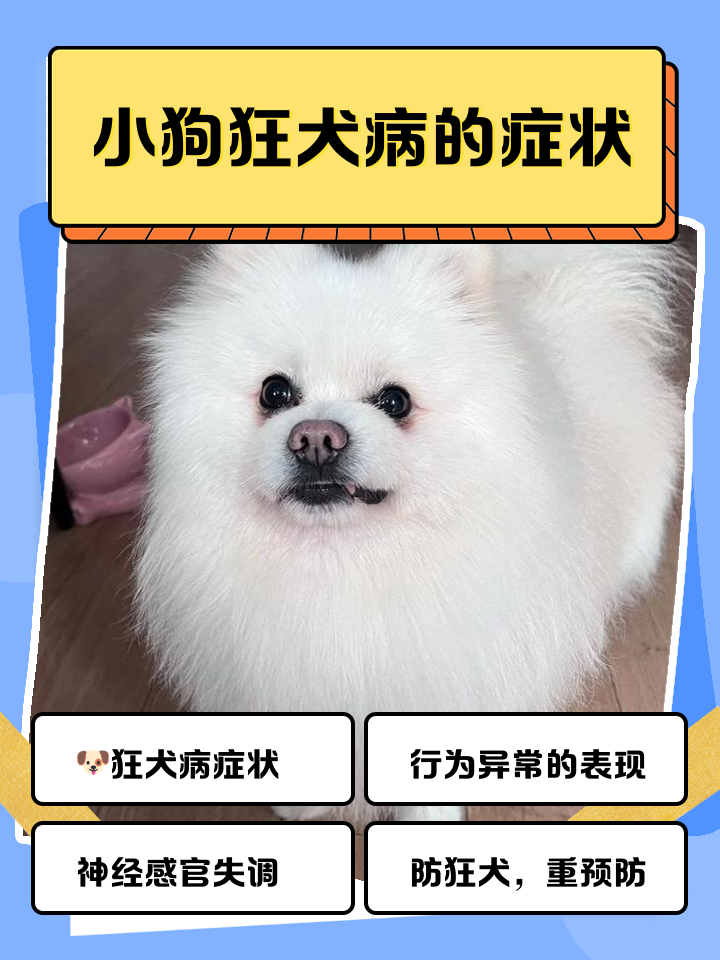 狂犬病前期症状有哪些