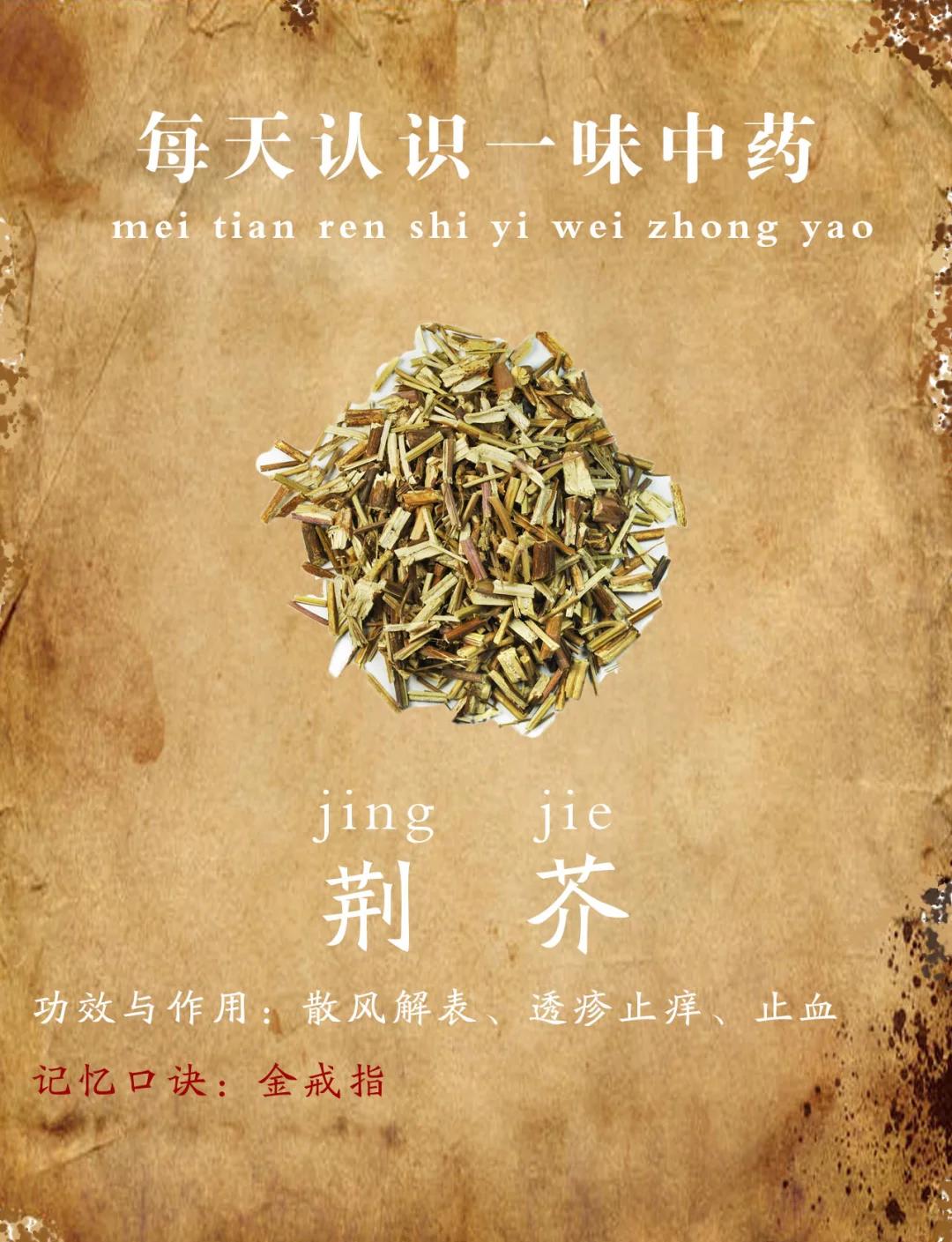 荆芥的功效与作用