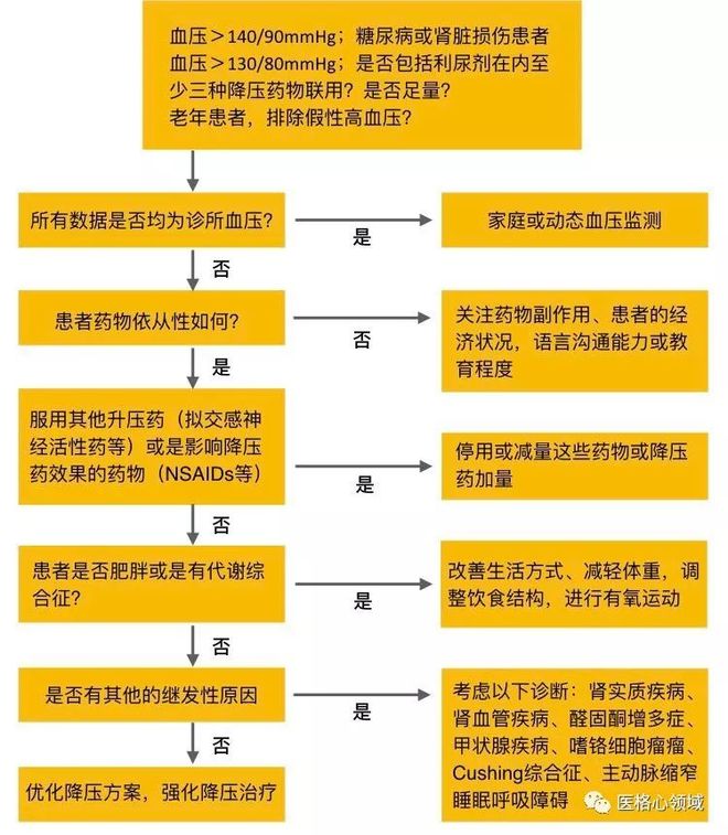 血压偏高如何治疗
