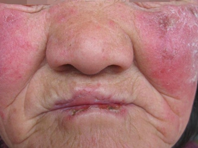 2025年11月27日 第3页