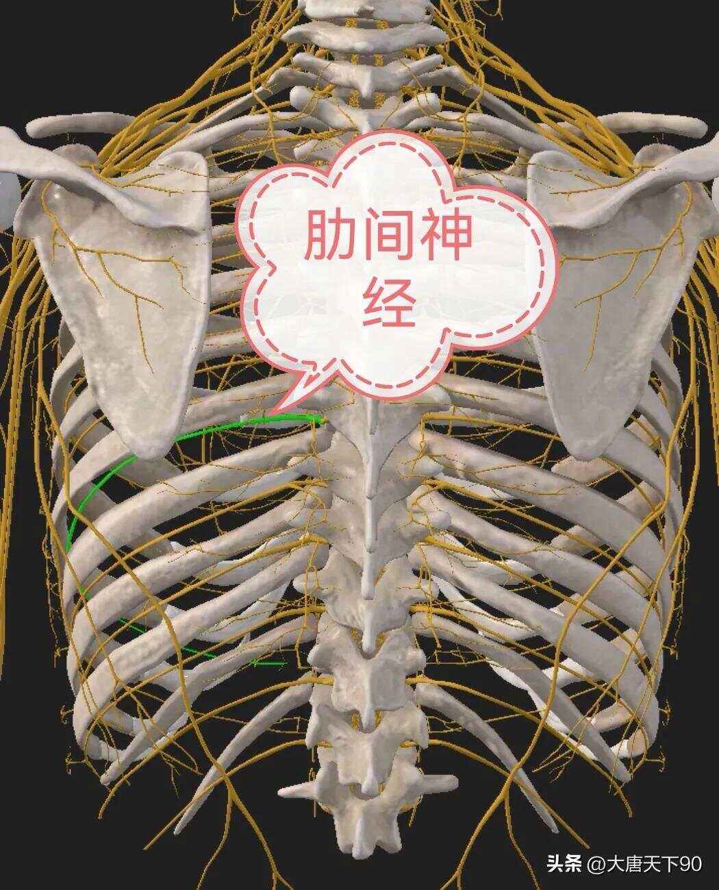 肋间神经痛会自愈吗