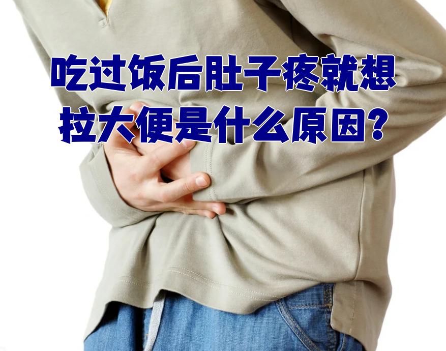 吃完饭就想拉肚子