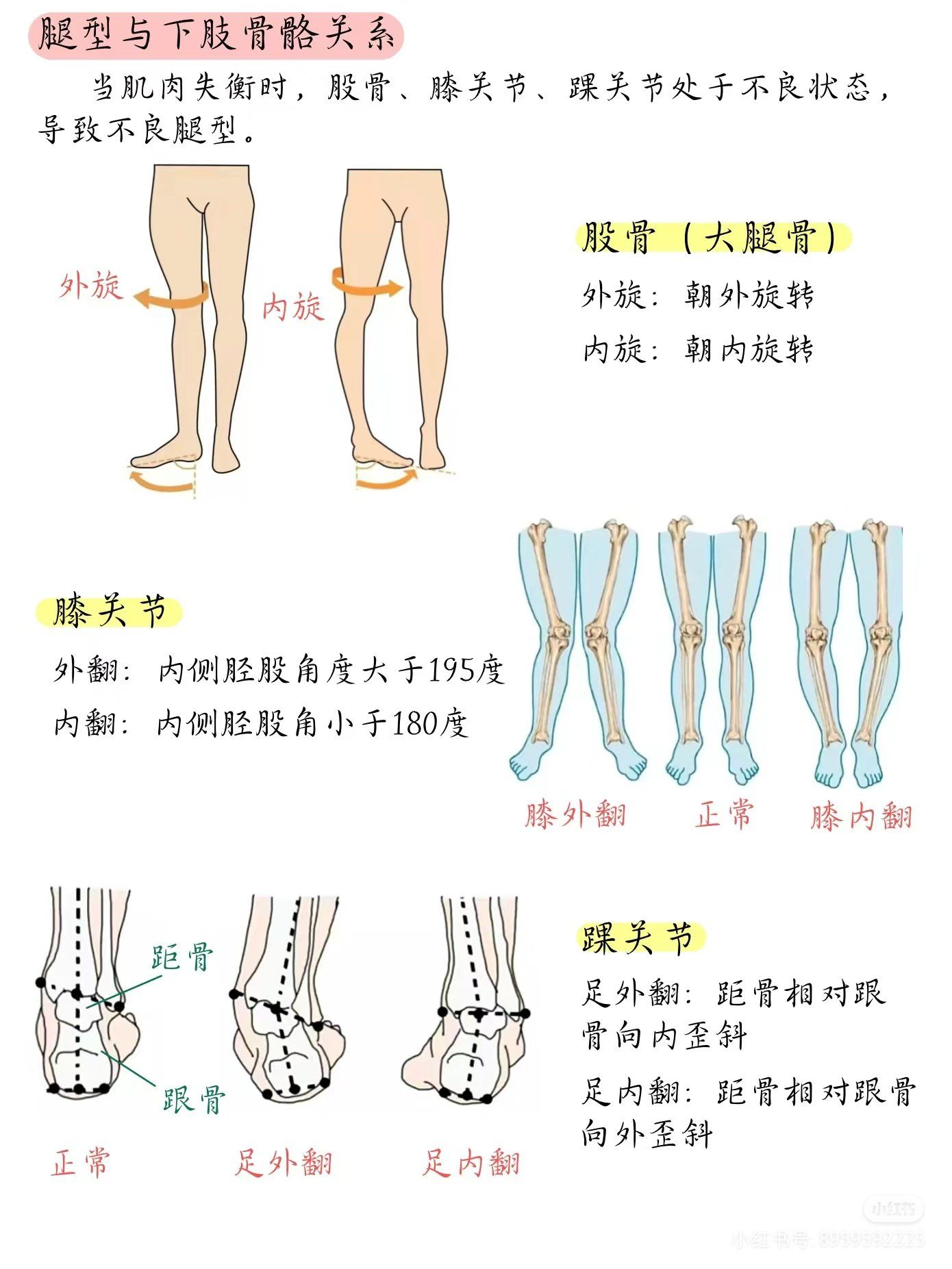 xo型腿怎么矫正最有效