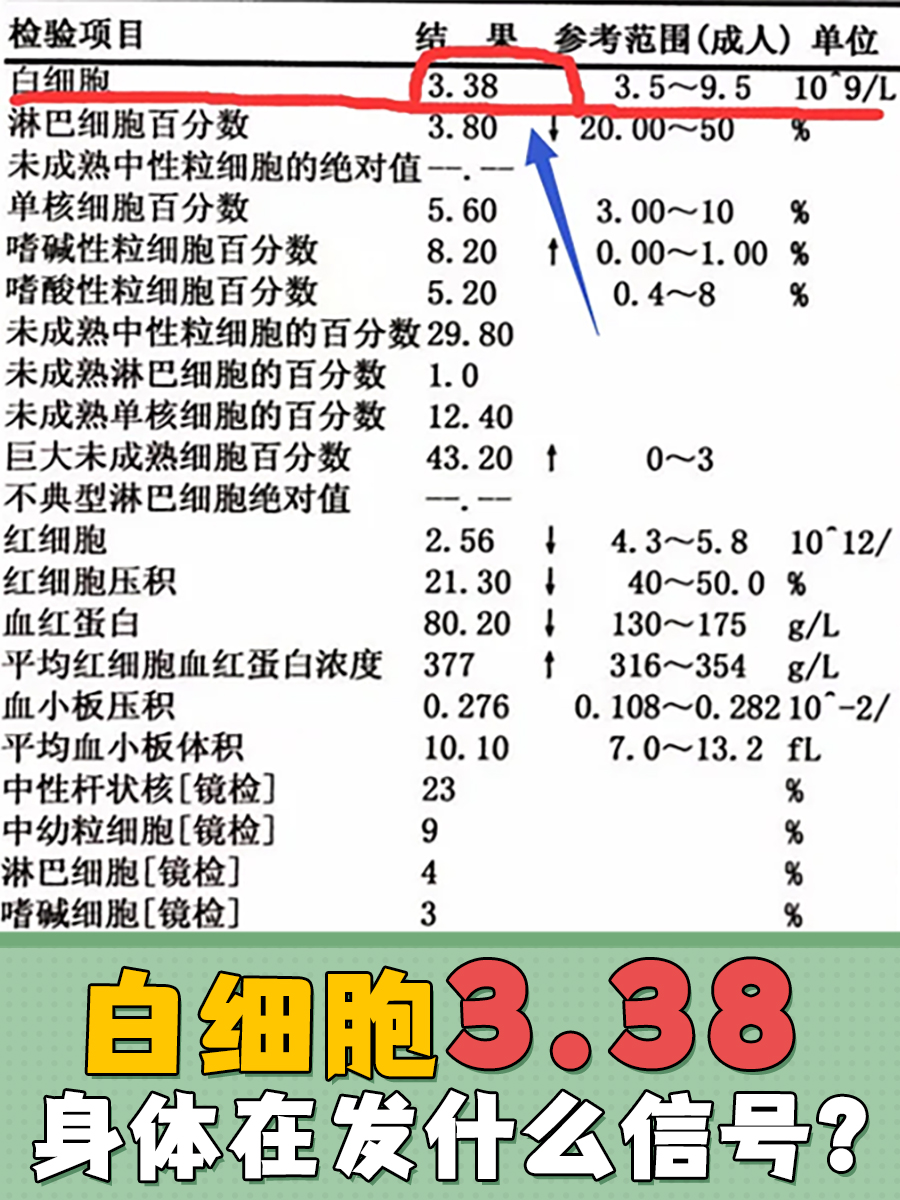 白细胞偏高怎么降下来
