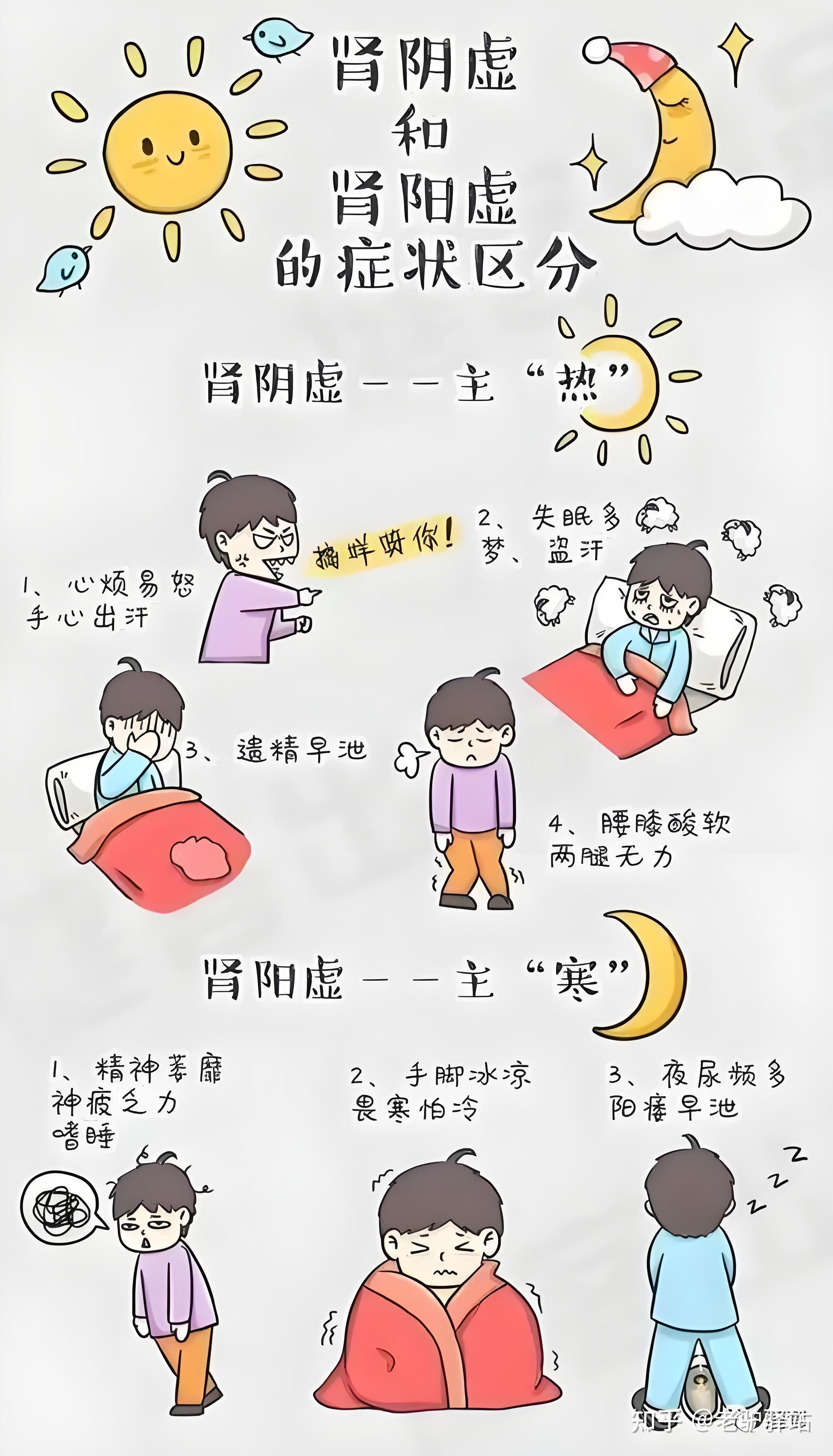 肾阳虚,怎么补啊?