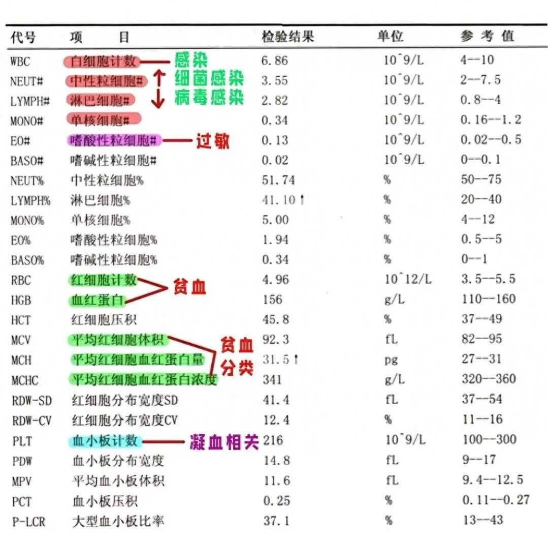 红细胞白细胞血小板的正常值