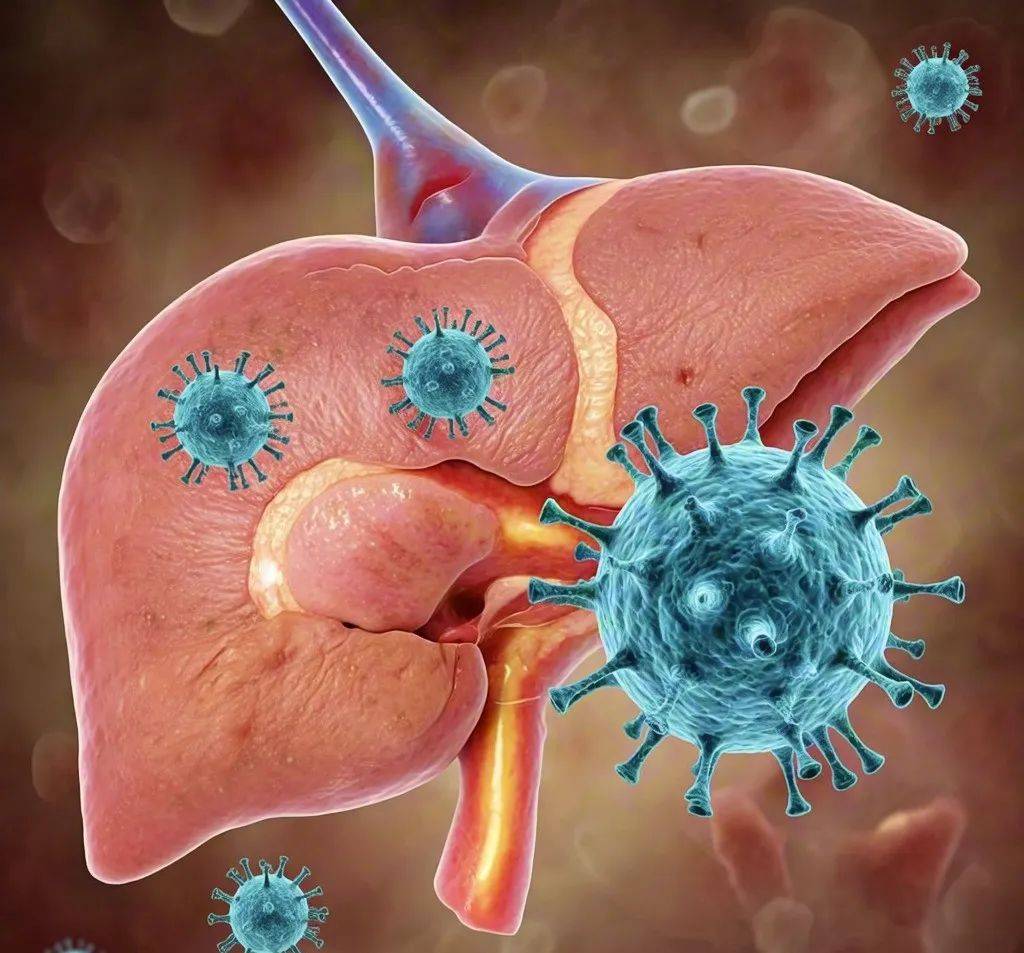 甲肝的感染途径