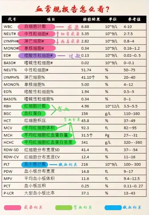 做血常规能检查出哪些病
