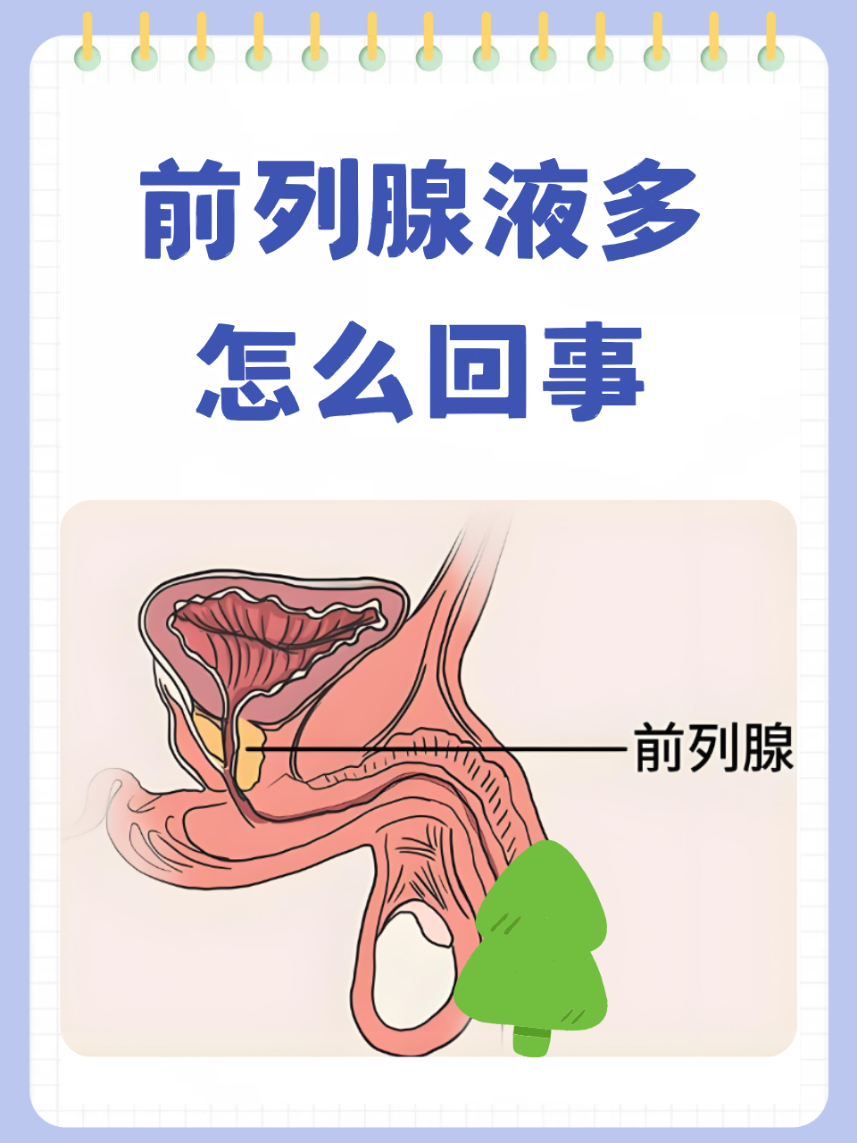 流前列腺液有什么危害