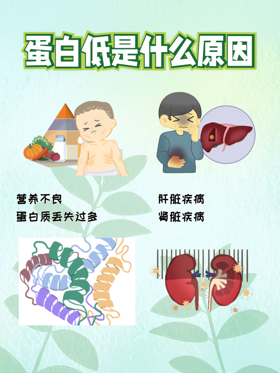 血小板低的原因有哪些?