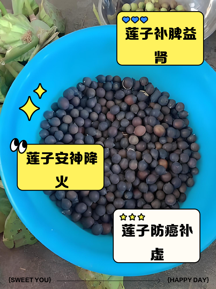 孕妇可以吃莲子吗?