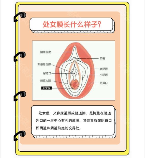 第一次时为什么没有出血