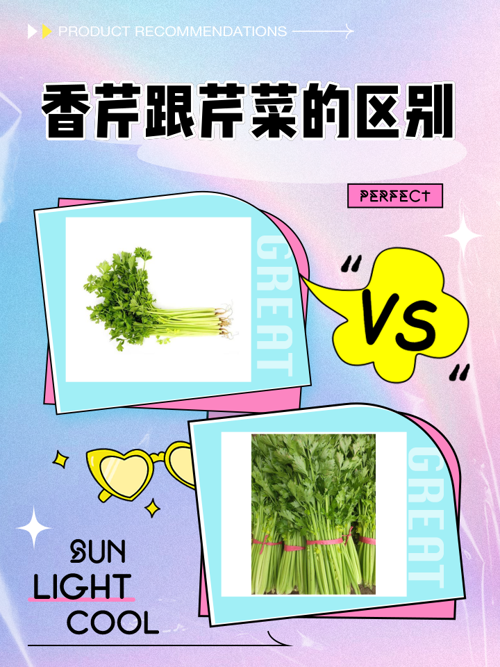 怀孕可以吃芹菜吗