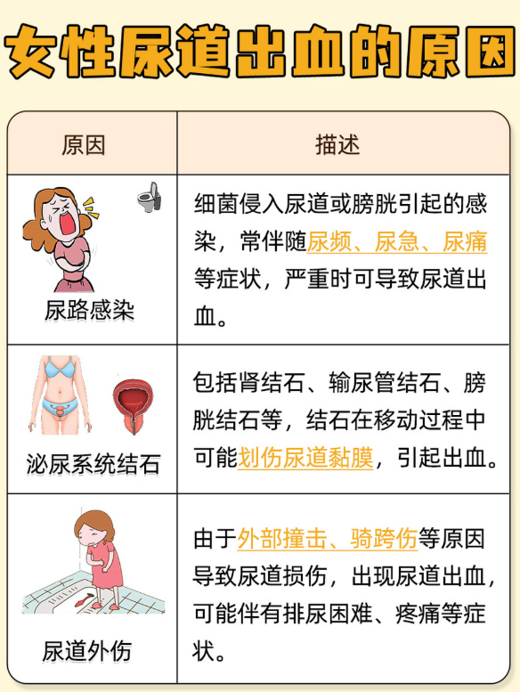 女性尿路感染是怎么引起的?