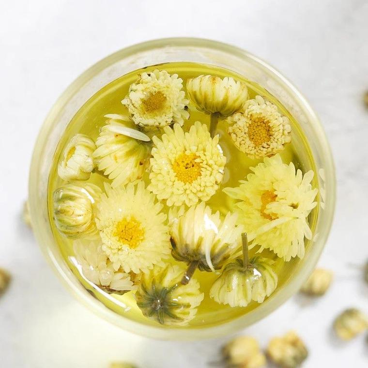 孕妇能喝菊花茶吗