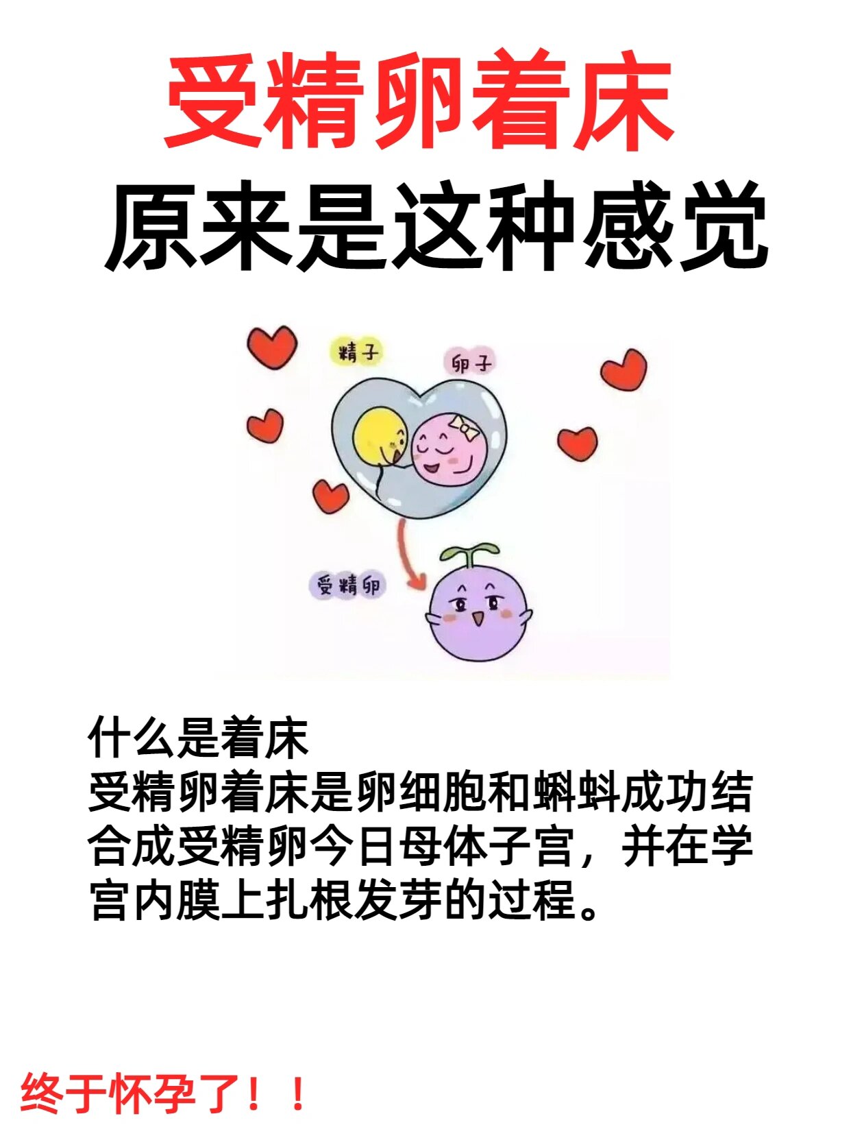 怎么判断受精卵着床成功