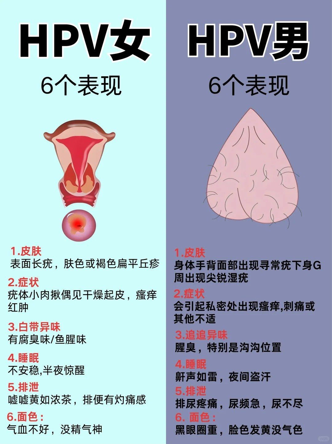 性病全套检查挂什么科