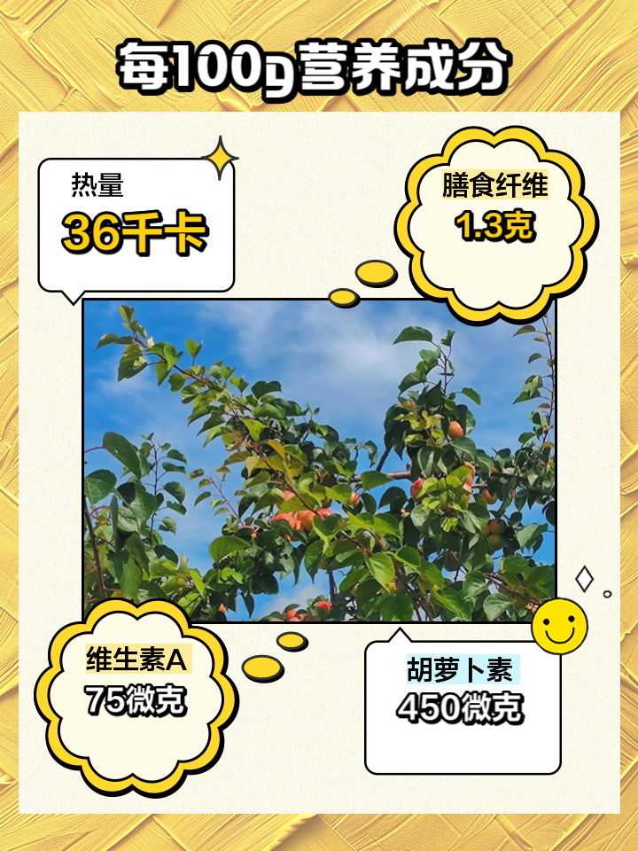 杏的营养和价值