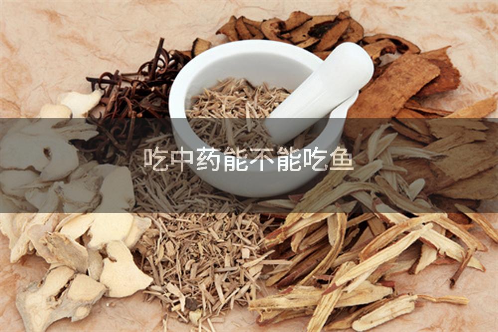 2025年11月29日 第24页