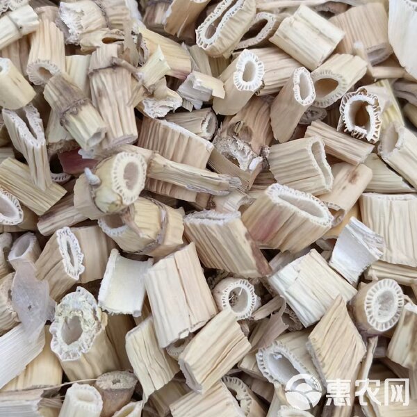 芦根是什么样子?哪里能找到?