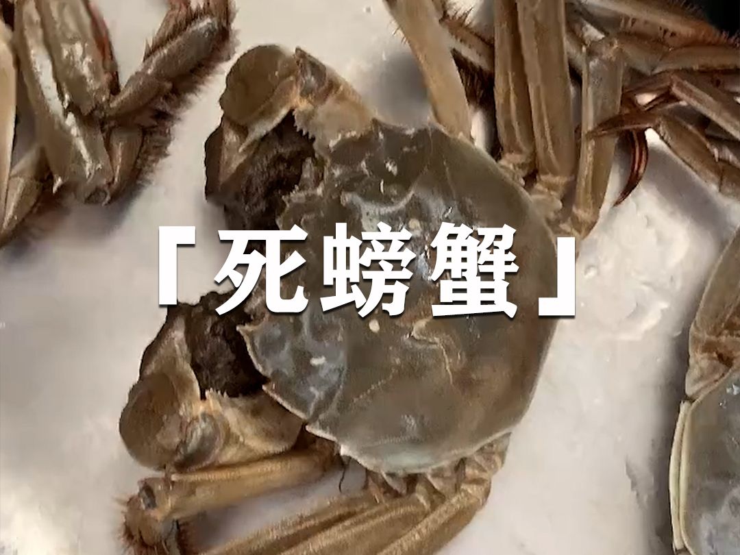 螃蟹死了能吃吗