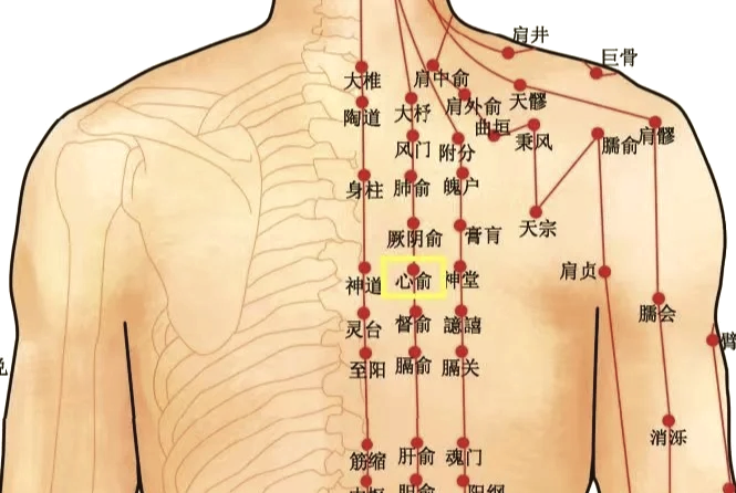 请问夹脊穴在哪里???