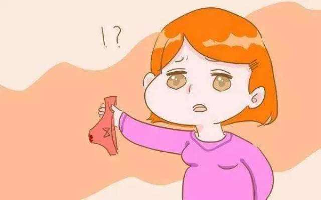 2025年11月29日 第13页