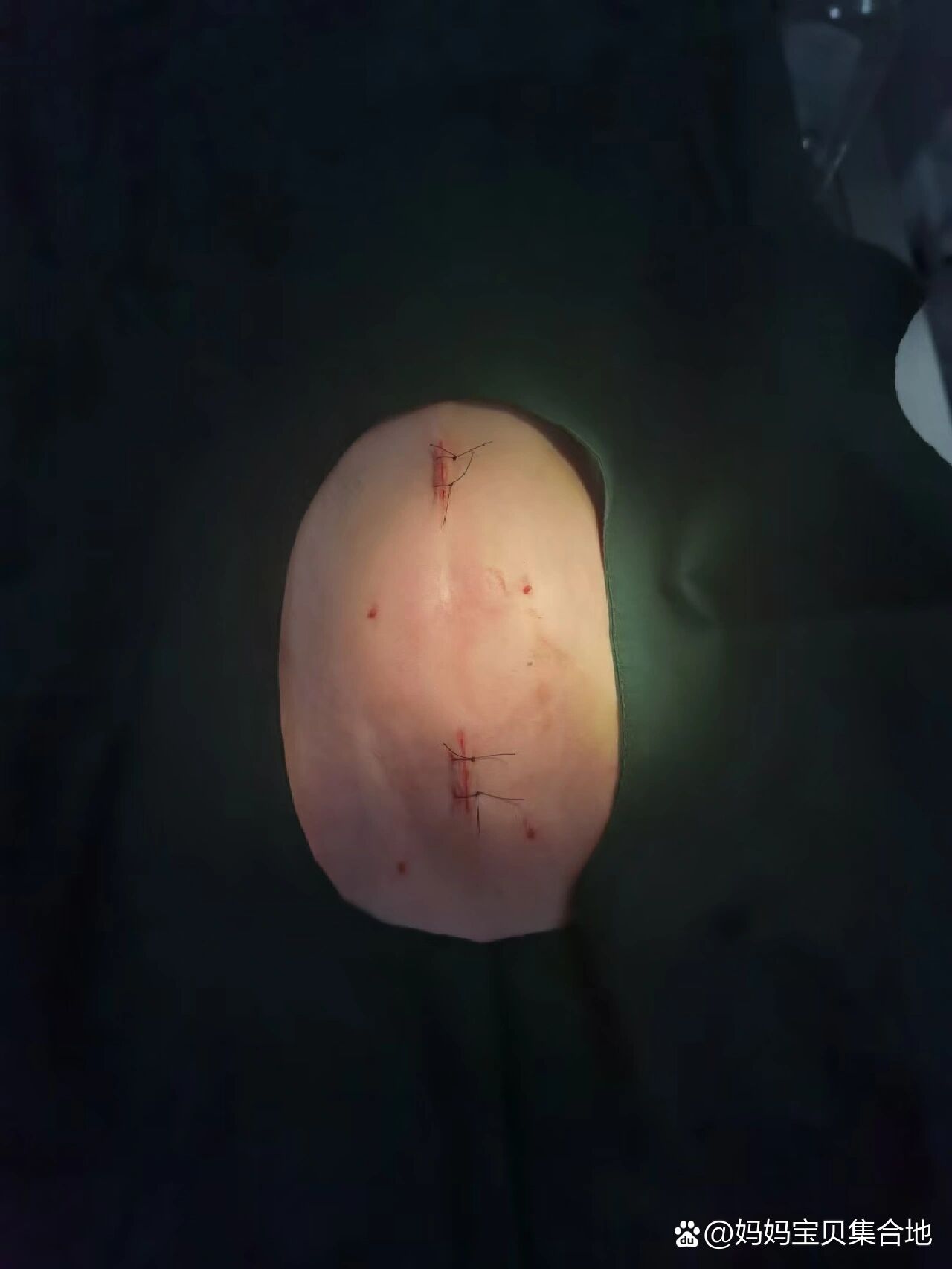 2025年11月29日 第9页