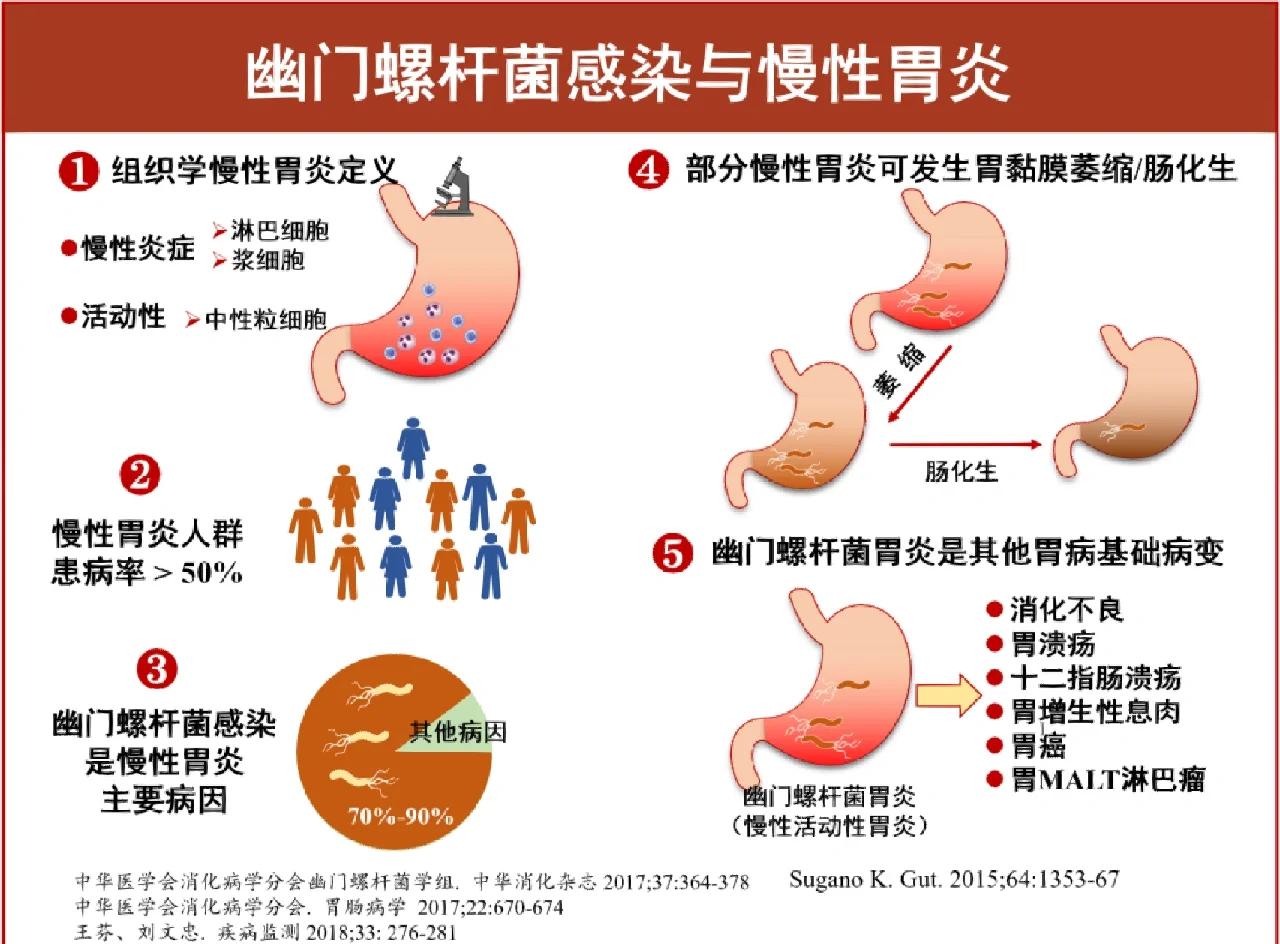 幽门螺杆菌是什么意思