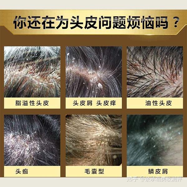 2025年11月29日 第8页