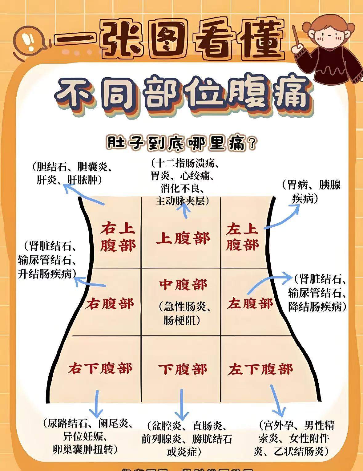 肚子一阵一阵的痛,是怎么回事?