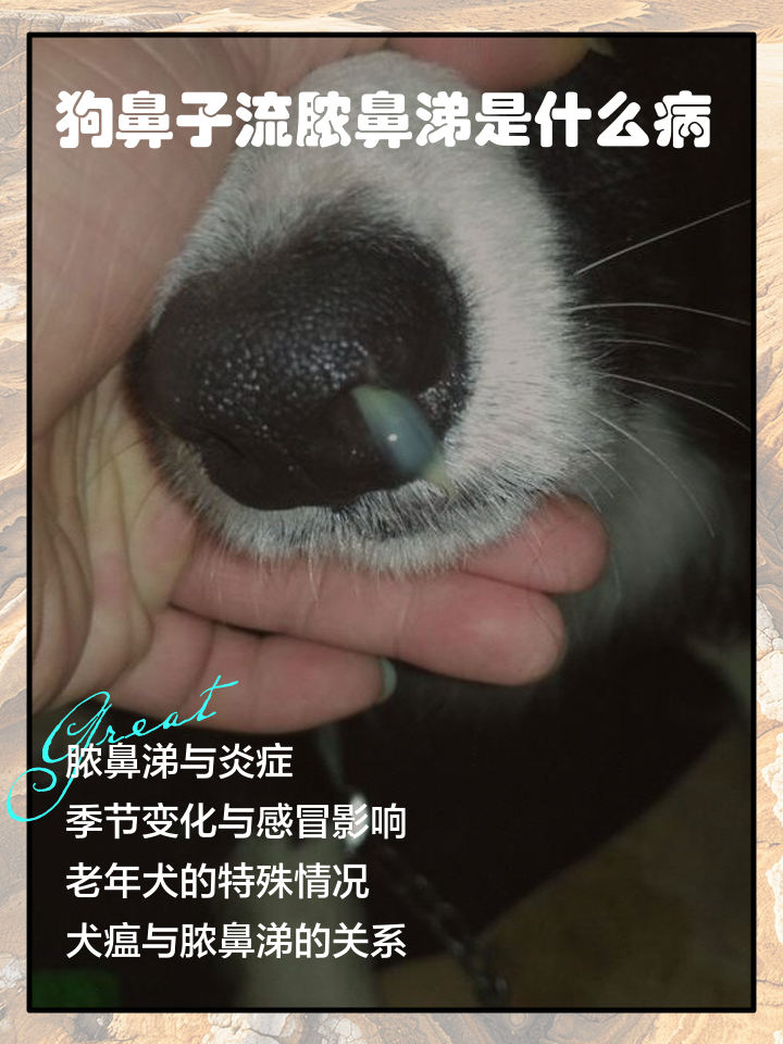 老流鼻涕怎么办