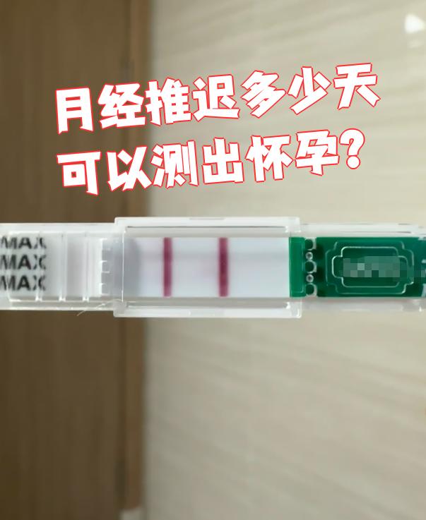 怀孕多久可以看出来