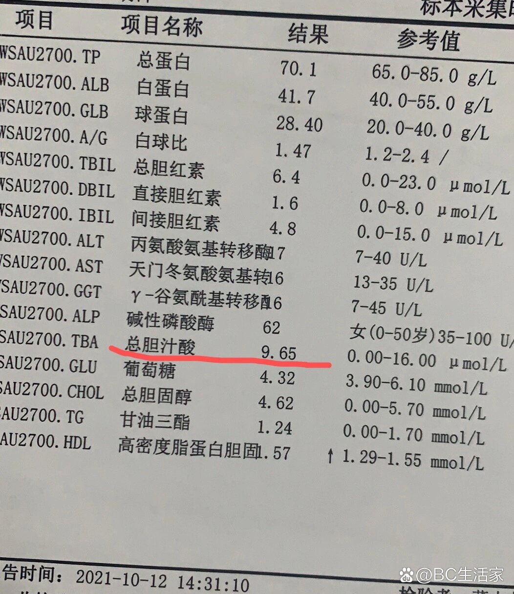怀孕胆汁酸高的原因