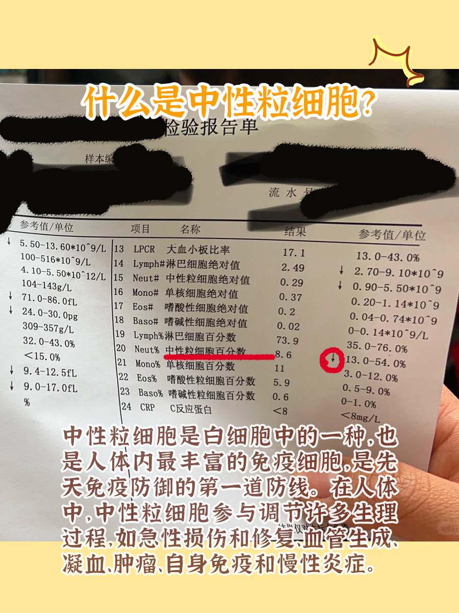 中性粒细胞偏高是什么意思