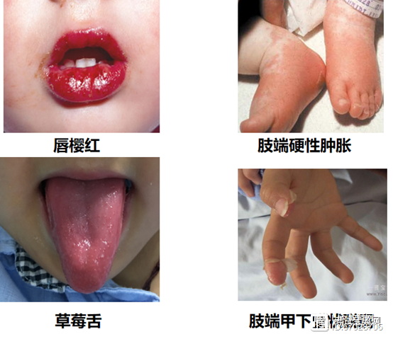 2025年11月 第14页