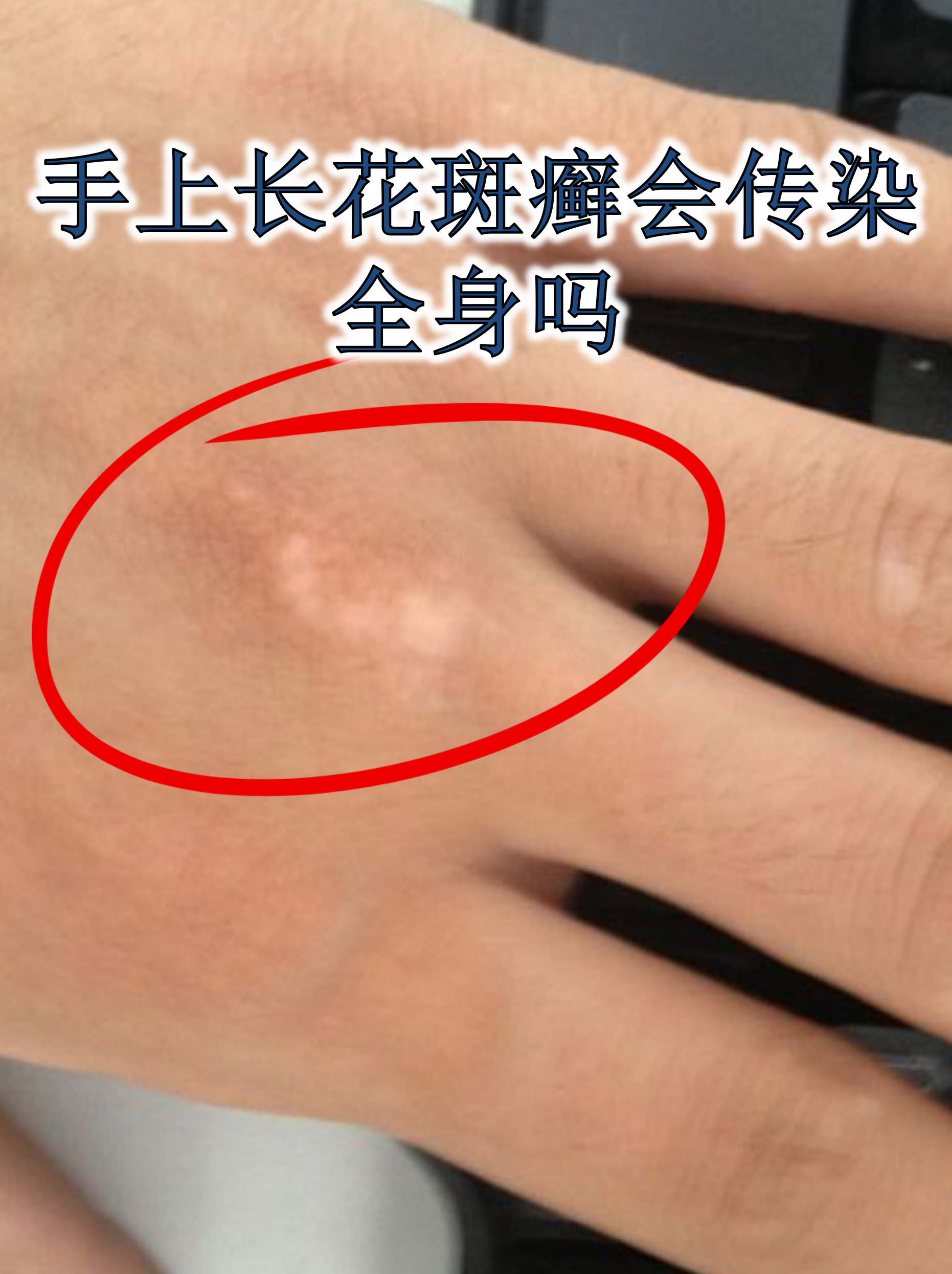 2025年11月 第13页