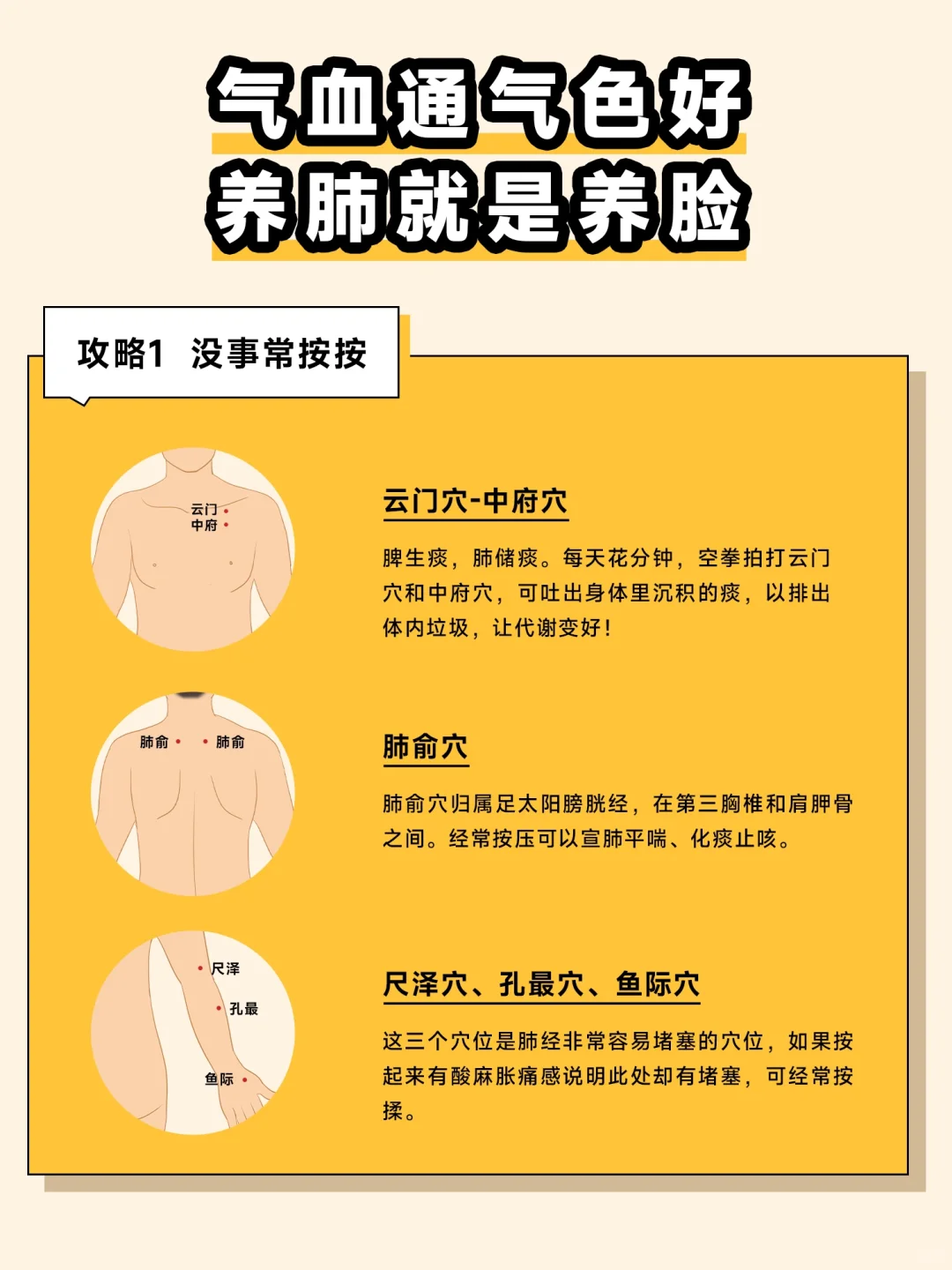 清肺与宣肺的区别