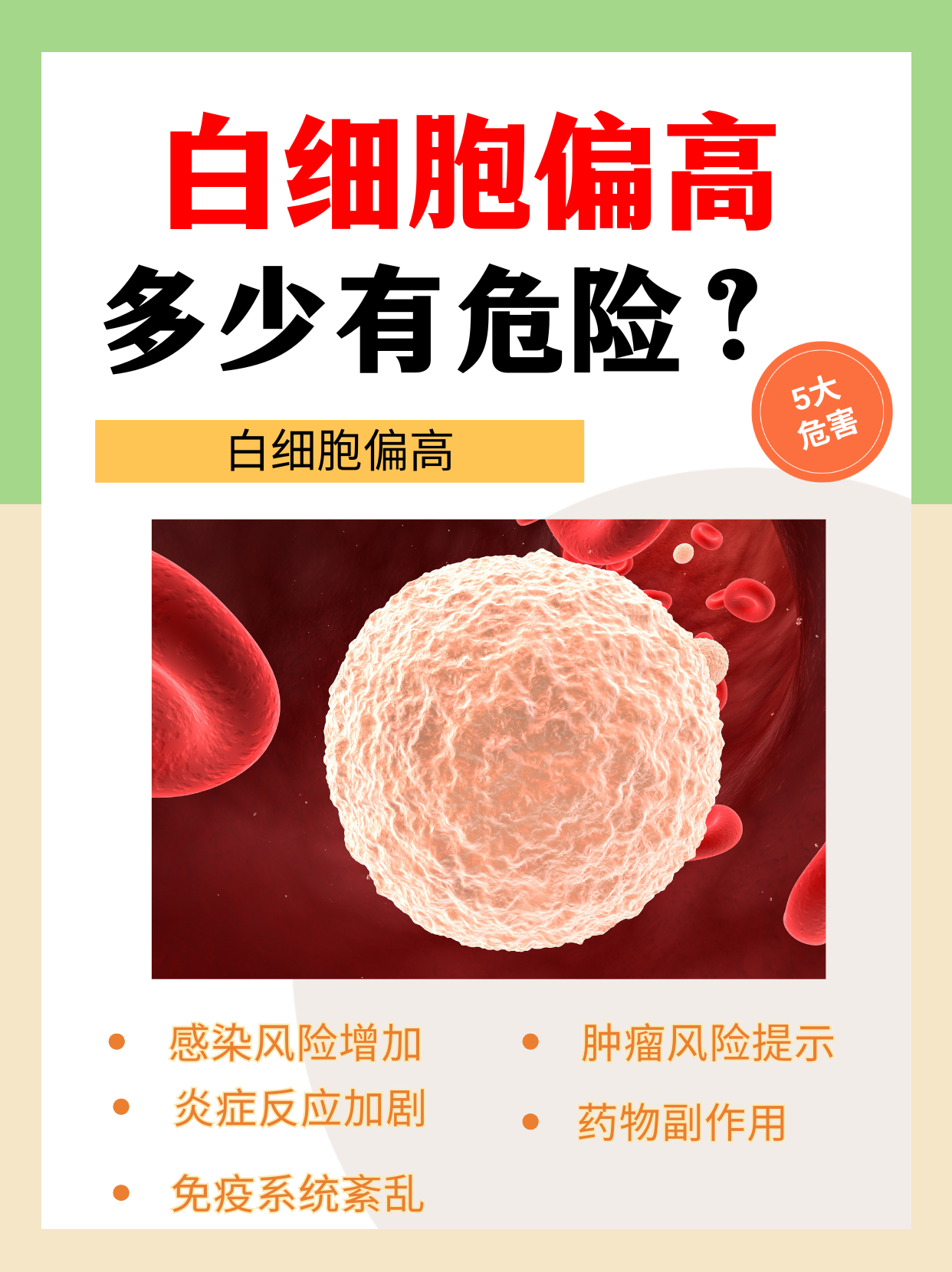 什么是血白细胞wBc偏高