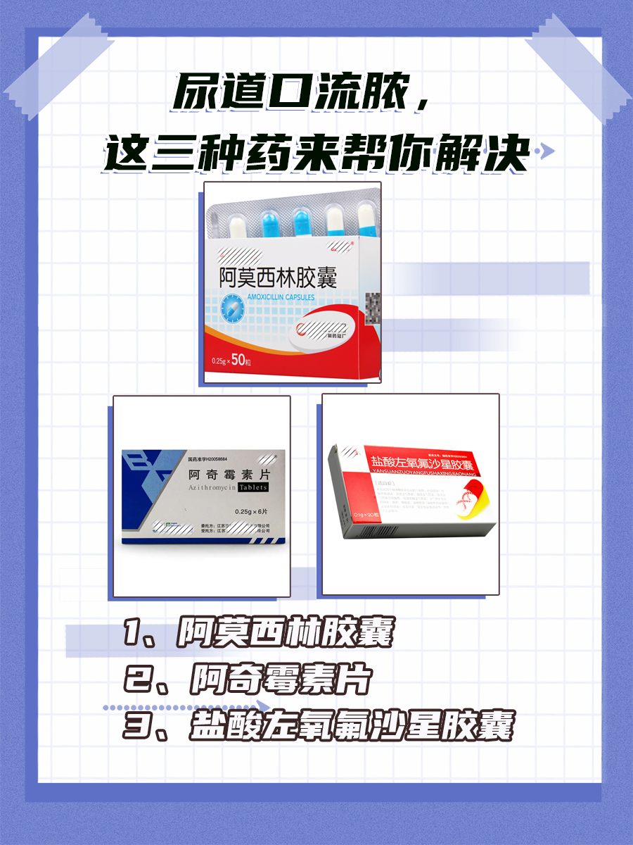 2025年12月1日 第24页