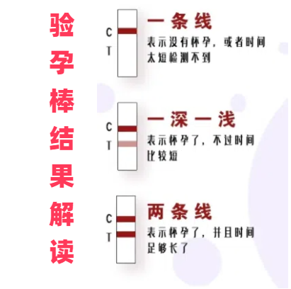 验血查早孕的方法