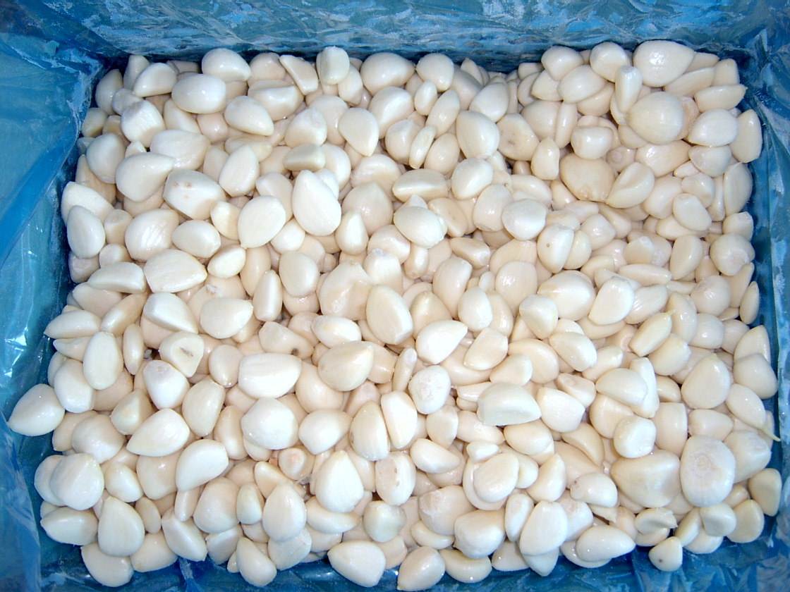 长芽的蒜能吃吗