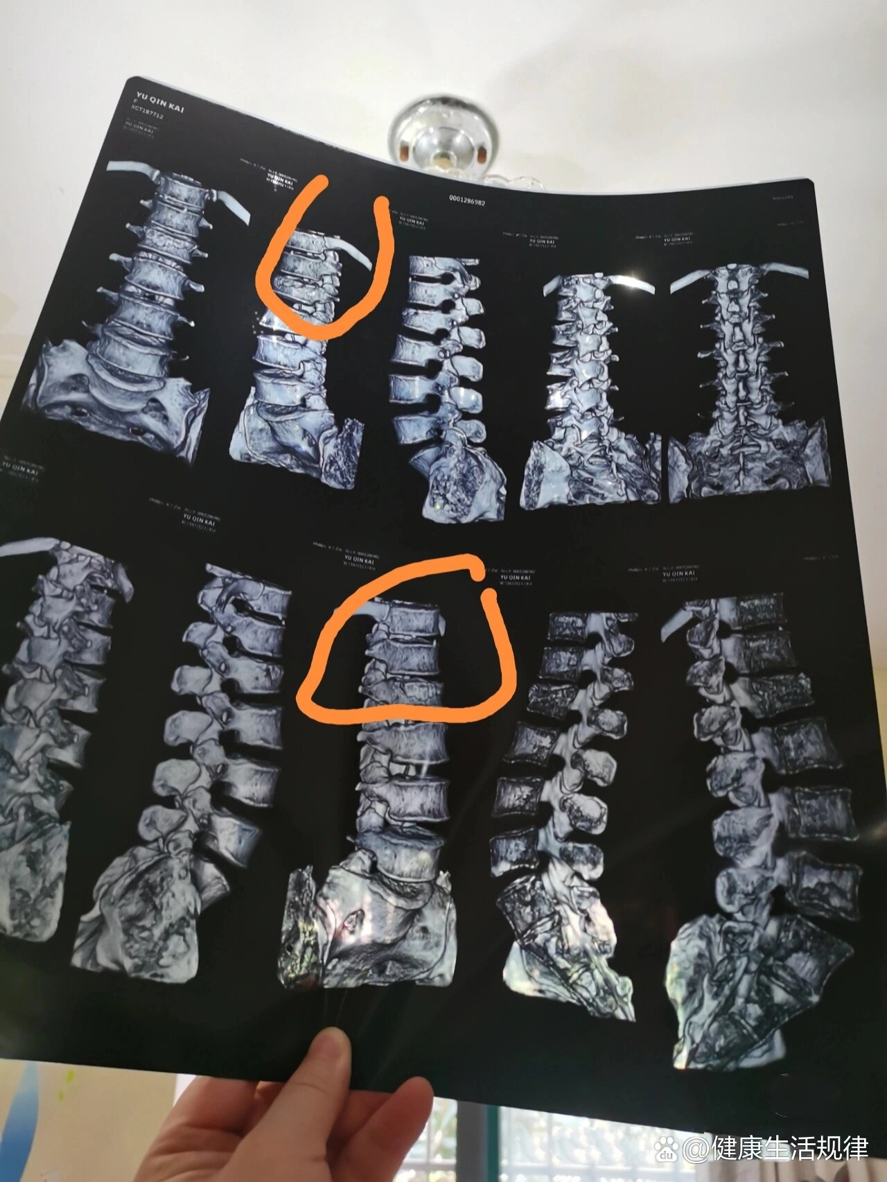 2025年12月1日 第17页